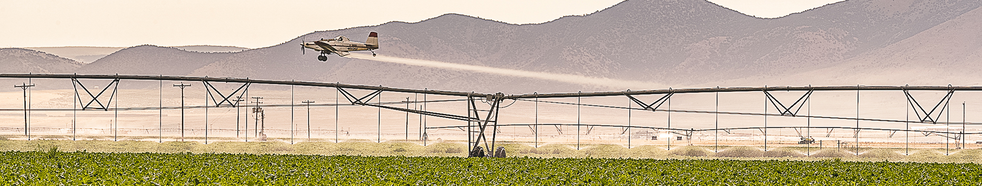 crop insurance banner 