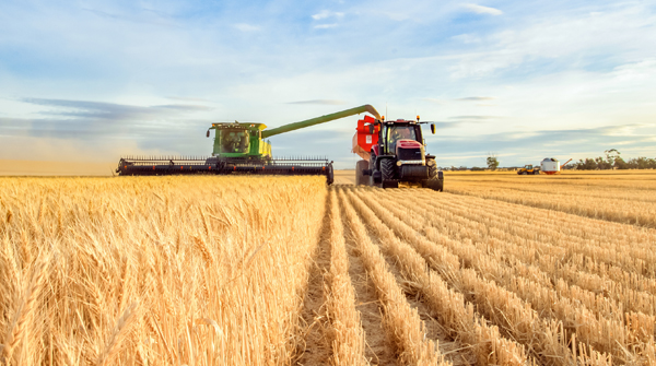 How to Prepare for a Successful Harvest Season