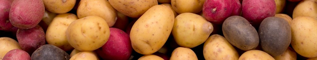Seven Fun Facts about Potatoes Banner Image