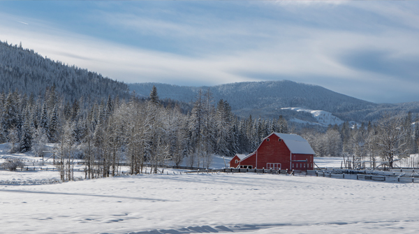 Winter Barn Maintenance Tips Photo