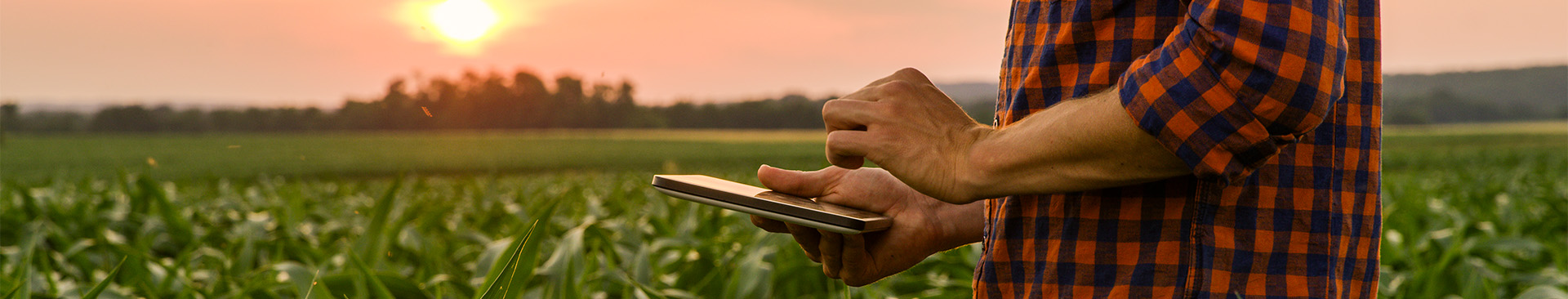 How Technology is Revolutionizing Sustainable Agriculture Featured Image