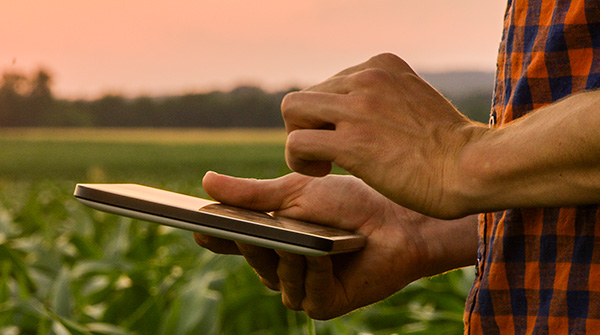 How Technology is Revolutionizing Sustainable Agriculture Blog Post Thumbnail