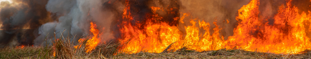 wildfire prevention tips blog image of raging inferno
