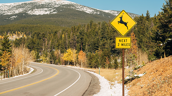 wildlife collision blogpost thumbnail, deer crossing sign on rural road