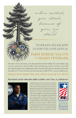 13th annual salute to veterans event poster image